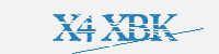 보안문자